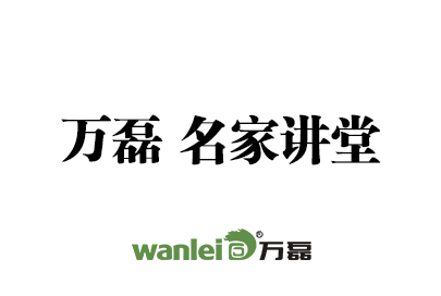 萬(wàn)磊 戈壁石（洞石效果） 施工視頻